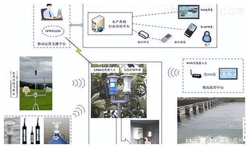 物联网技术在水产养殖系统中提升运行稳定性的关键技术开发