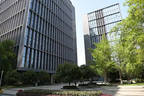 美团数字赋能西北 在新疆设立科技子公司或开启区域研发新篇章